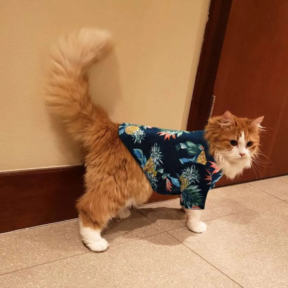 Check out the Cool Cat Tropical Cotton Shirt