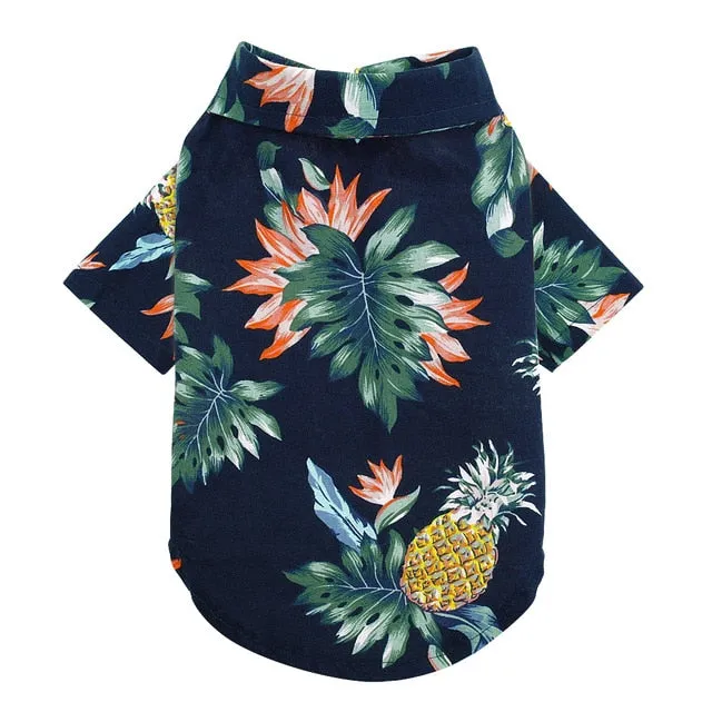 Check out the Cool Cat Tropical Cotton Shirt