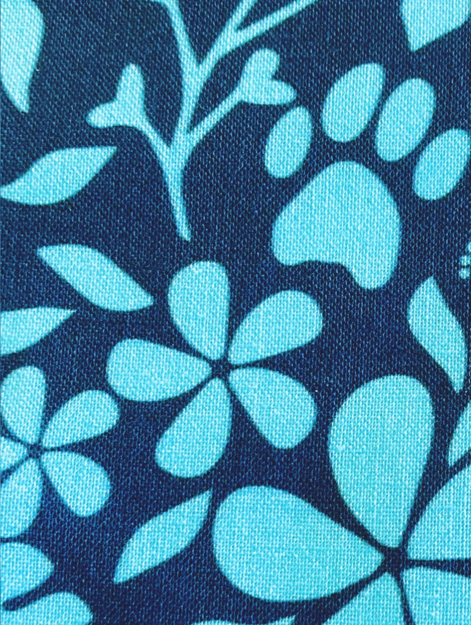 Dog Bandanas - Tropical Paw - Aqua