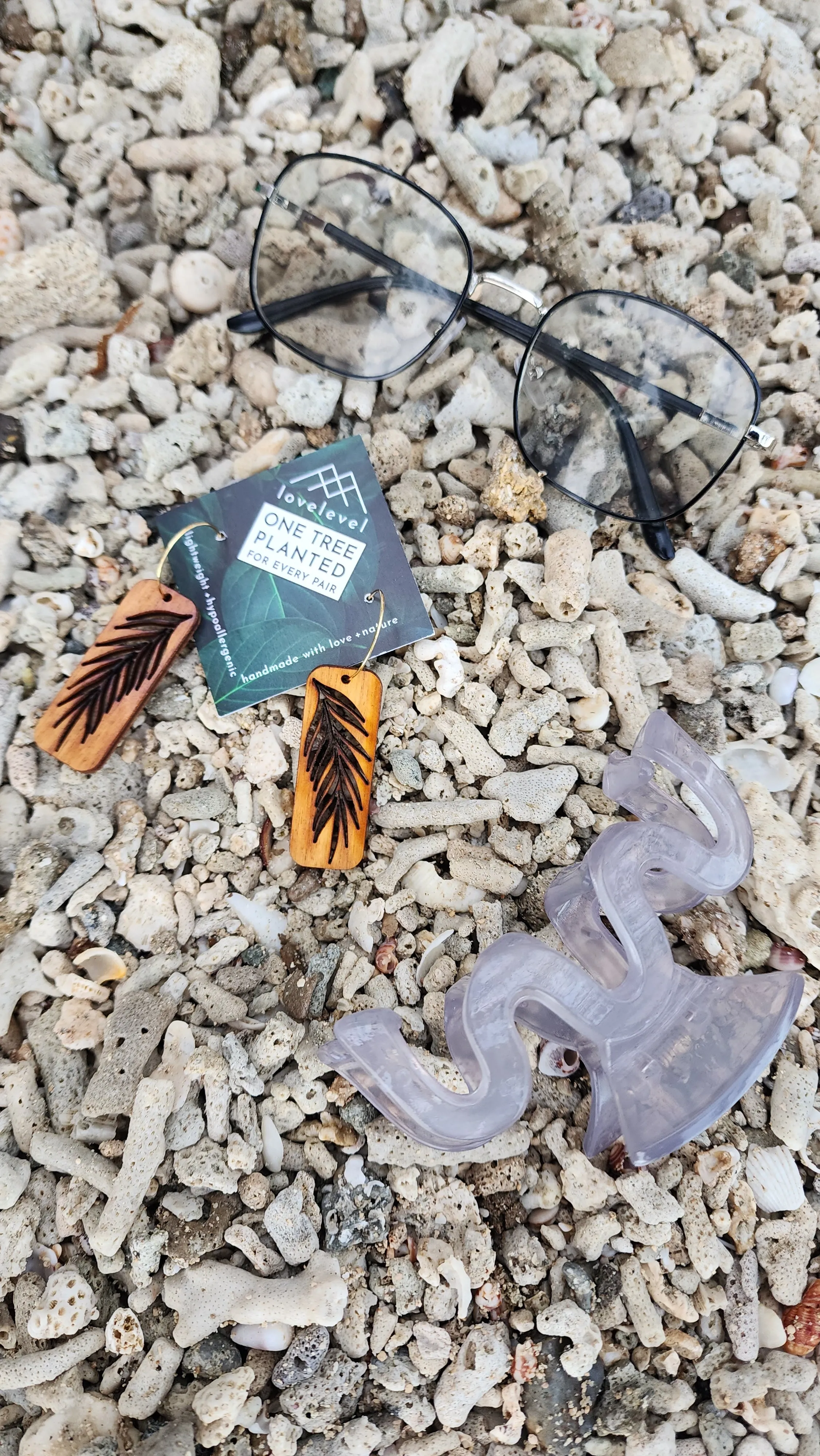 Hawaii Wood Earrings | PALM