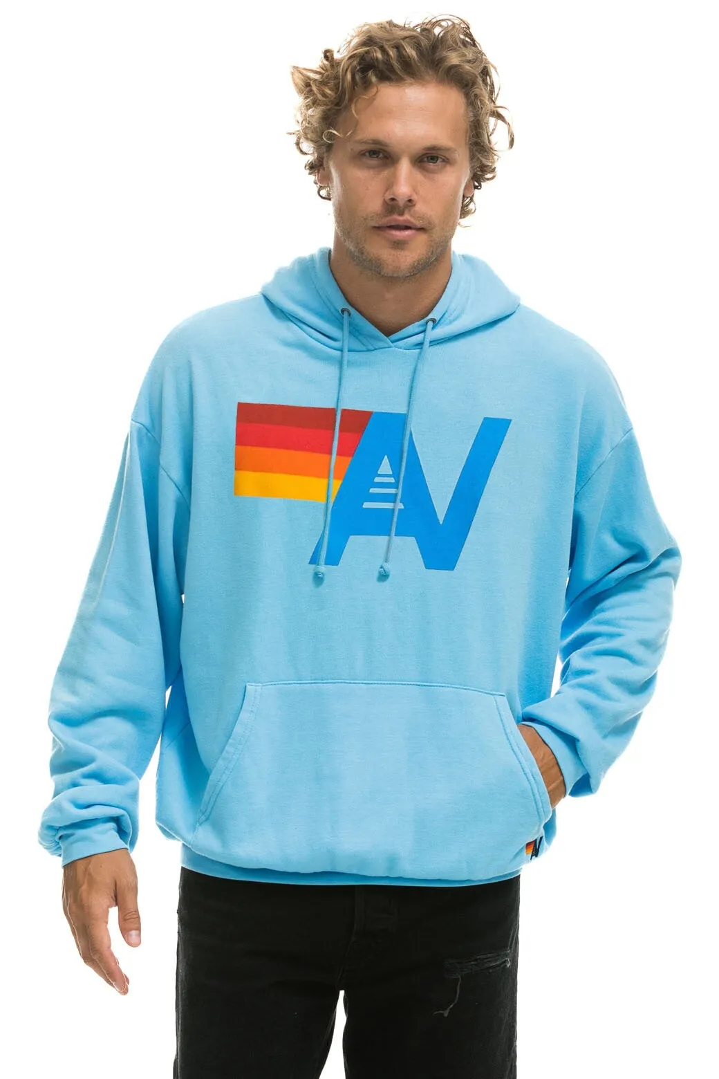 LOGO PULLOVER RELAXED HOODIE - SKY
