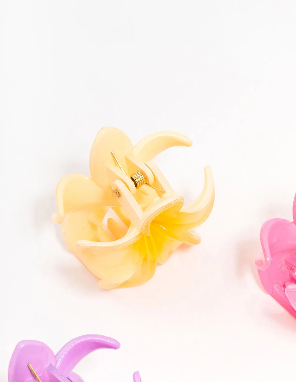 Mini Colourful Hibiscus Claw Clips 4-Pack