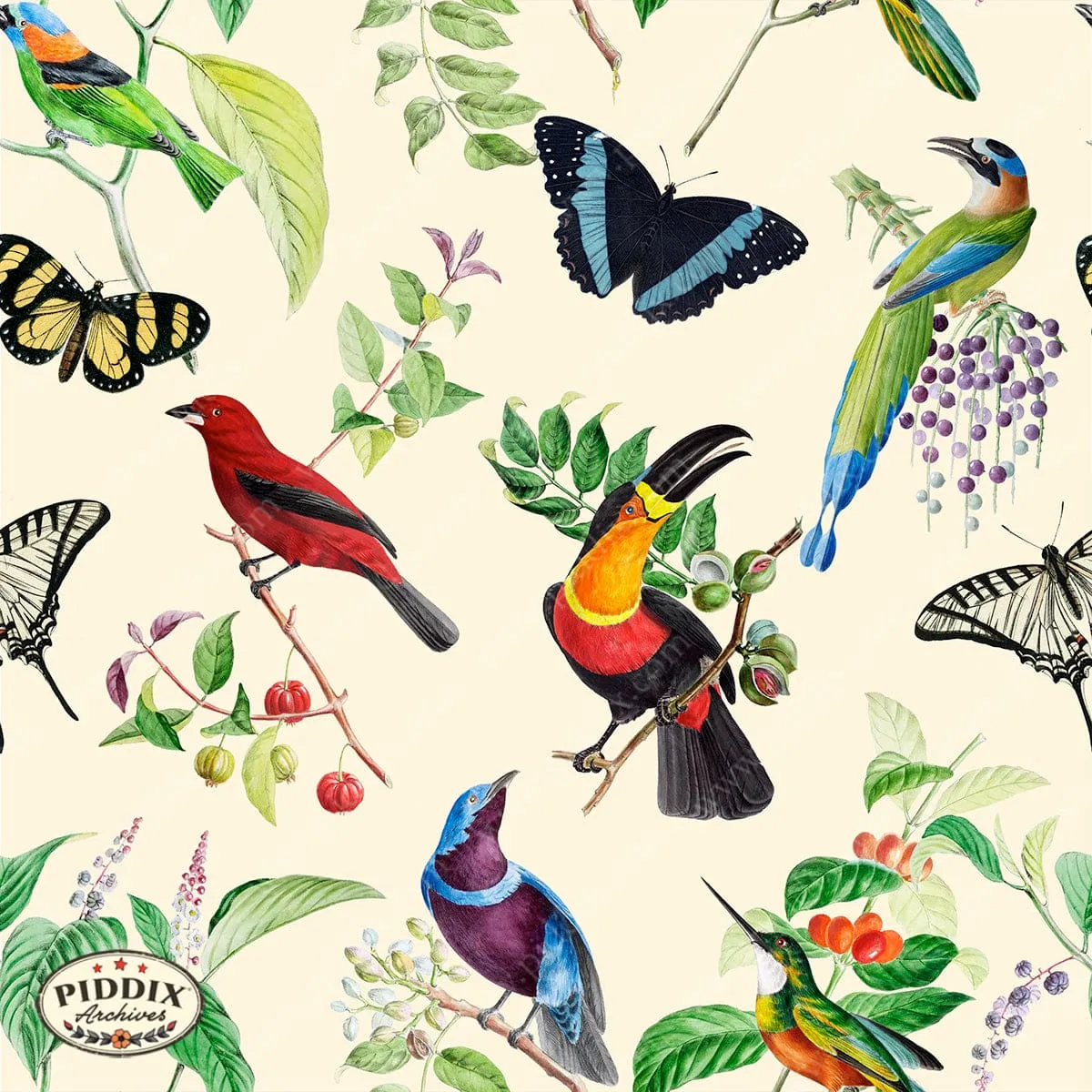 PDXC21033 Bird and Flowers -- Tropical Birds Butterflies