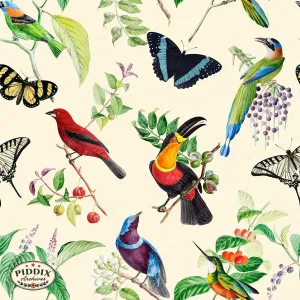 PDXC21033 Bird and Flowers -- Tropical Birds Butterflies